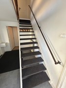 Marshallsingel 23014.JPG